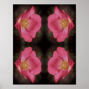 Roze Rozenblaadjes Abstract Poster