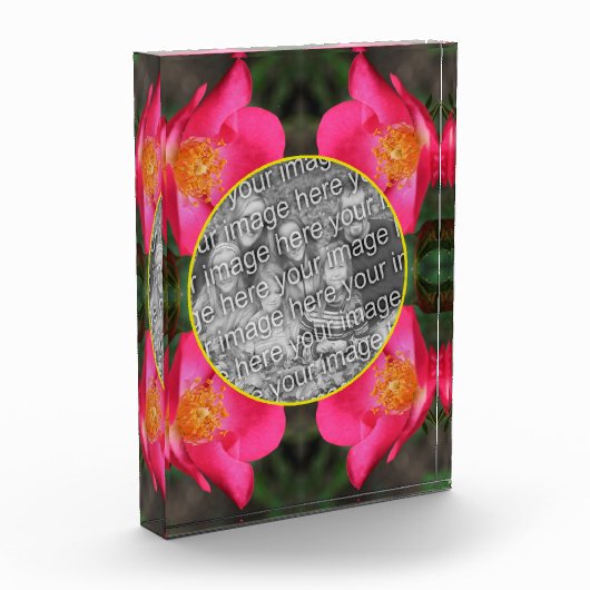 Roze rozenblaadjes Lijst Creëer Uw Eigen Fotoblokken (Links)