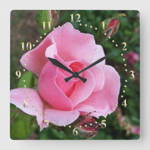 roze rozenbloei vierkante klok