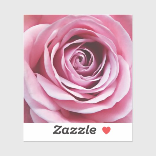 Roze rozenbloem in bloementuin sticker (Vel)
