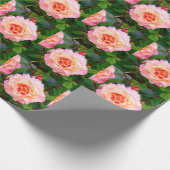 Roze rozenbloemen in een briefkaart van een tuin cadeaupapier (Hoek)