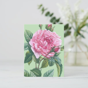 Roze rozenbloemen met groene bladeren briefkaart