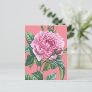 Roze rozenbloemen met groene bladeren briefkaart