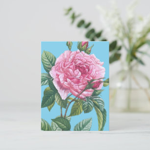 Roze rozenbloemen met groene bladeren briefkaart