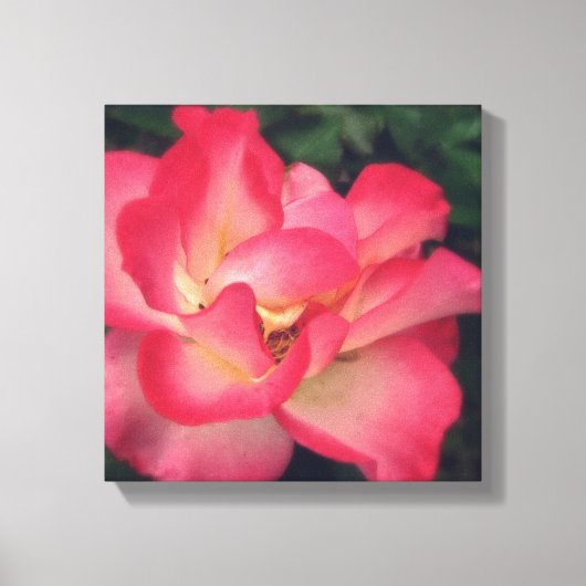 Roze rozencanvas afdrukken (Voorkant)