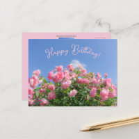 Roze rozenstruik onder blauwe lucht, op maat