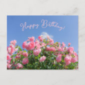 Roze rozenstruik onder blauwe lucht, op maat gemaa briefkaart (Voorkant)