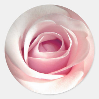 Roze rozentickers ronde sticker