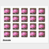 Roze rozentickers vierkante sticker (Vel)