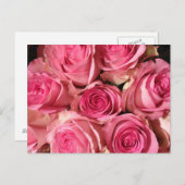 Roze rozenventilator briefkaart (Voorkant / Achterkant)