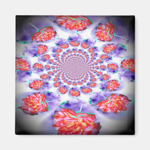 Roze rozenzwirling magneet