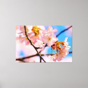 Roze Sakura-bloemen op een warme dag van de spits Canvas Afdruk