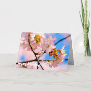 Roze Sakura-bloemen op een warme dag van de spits Kaart