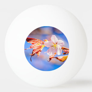 Roze Sakura Flower Blue Sky Pingpongballen