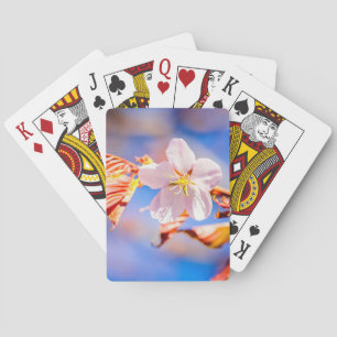 Roze Sakura Flower Blue Sky Pokerkaarten