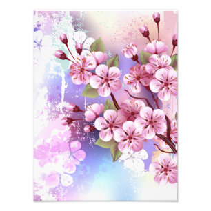 Roze Sakura op geschilderde achtergrond Foto Afdruk