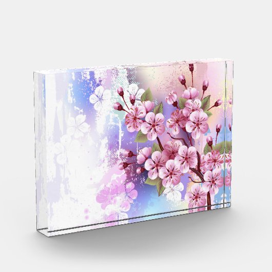 Roze Sakura op geschilderde achtergrond Fotoblokken (Links)