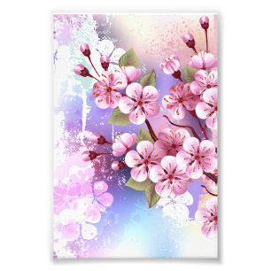 Roze Sakura op het schilderen Achtergrond Foto Afdruk