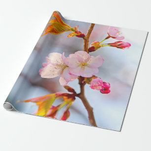 Roze Sakura tegen de grijze achtergrond Cadeaupapier