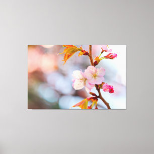 Roze Sakura tegen de grijze achtergrond Canvas Afdruk