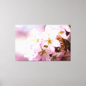 Roze Sakura tegen de roze achtergrond Canvas Afdruk (Voorkant)