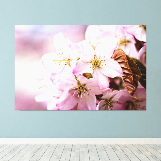 Roze Sakura tegen de roze achtergrond Canvas Afdruk (Insitu (Houten vloer))