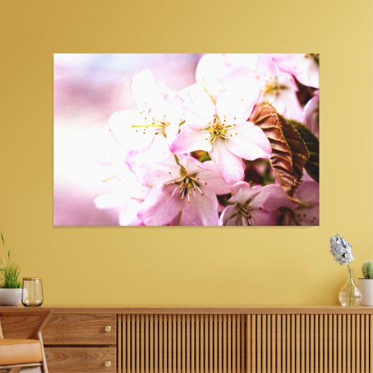 Roze Sakura tegen de roze achtergrond Canvas Afdruk (Insitu (Woonkamer))