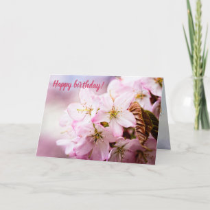 Roze Sakura tegen de roze achtergrond Kaart