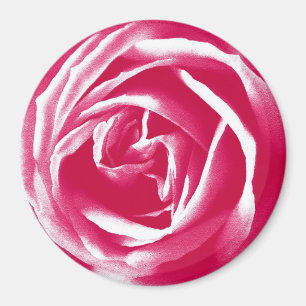 Roze satijn roos afdrukken magneet