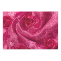 Roze Satijnen Roos