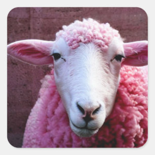 Roze schaap vierkante sticker