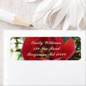 Roze schoonheid etiket (Insitu)