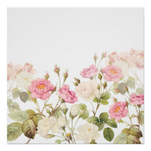 Roze Sepia Rozen Illustratie van beemdje Perfect Poster
