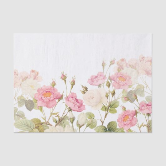 Roze Sepia  Rozen Illustratie van beemdje Tissuepapier (Voorkant)