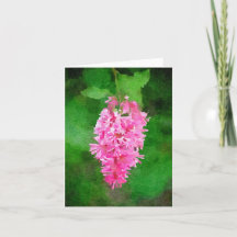 Roze Sering Watercolor Kaart