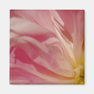 Roze Shade Magnet Magneet