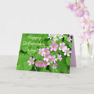 Roze Shamrock Flowers Happy St Patrick's Day Kaart