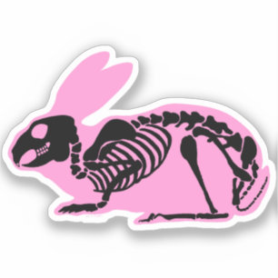 Roze Skelet Konijn Sticker