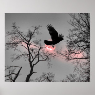 Roze Sky Stripe Poster