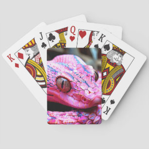 Roze slang pokerkaarten