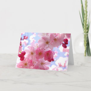 Roze springbloesem feestdagen kaart