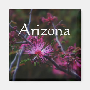 roze sprookjesachtige stofmagneet, Arizona Magneet