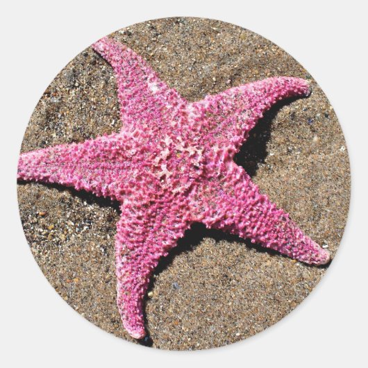 Roze Starfish Ronde Sticker (Voorkant)
