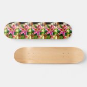roze stargaals skateboard (Horizontaal)