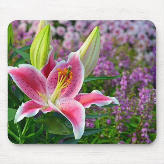 Roze stargazer lib printmousepad muismat (Voorkant)
