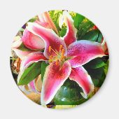 roze stargazer libe magnet magneet (Voorkant)