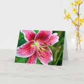 Roze Stargazer Lily Blank Kaart (Gele Bloem)