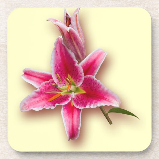Roze Stargazer Lily en Bud Bier Onderzetter (Voorkant)