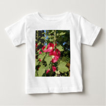 Roze stokrozen