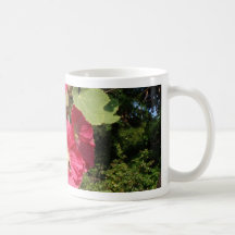 Roze stokrozen
